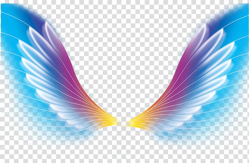 Free Free 114 Dreamer Wings Svg SVG PNG EPS DXF File
