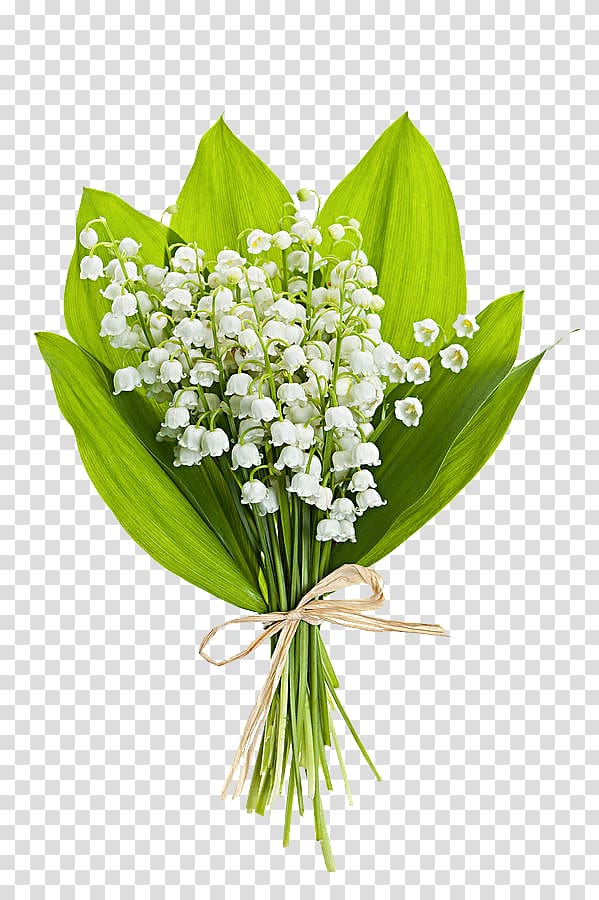 Ландыш Цветочный букет, Белый цветочный букет PNG | HotPNG