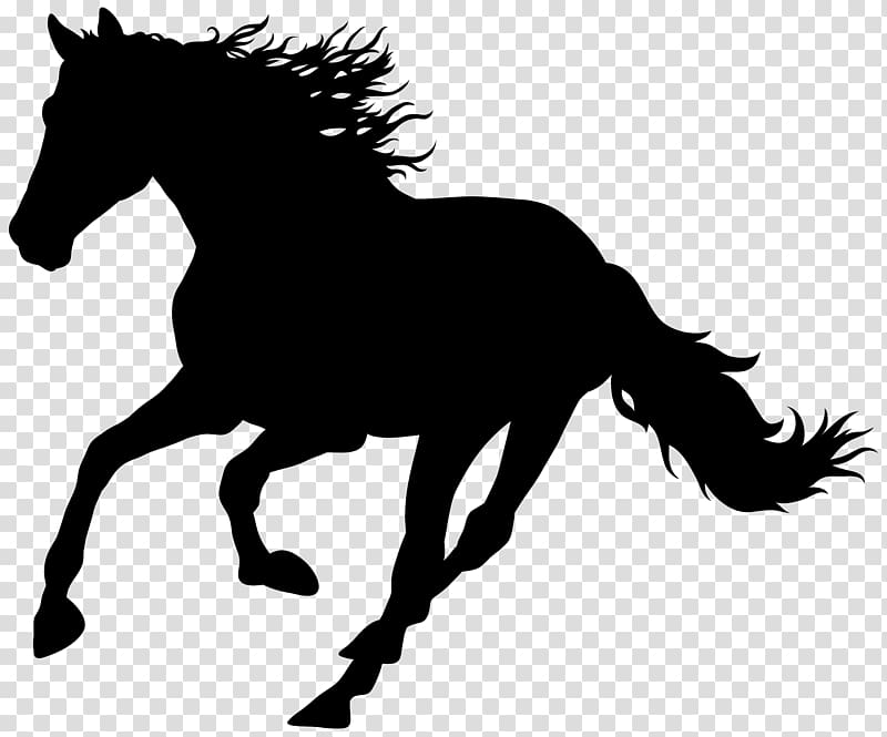 Мустанг, силуэт бегущей лошади PNG | HotPNG