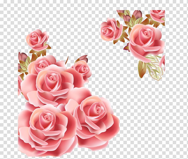 Розовые цветы пнг на прозрачном фоне