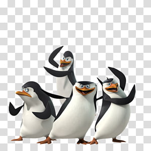 Картинки по запросу пингвины мадагаскара