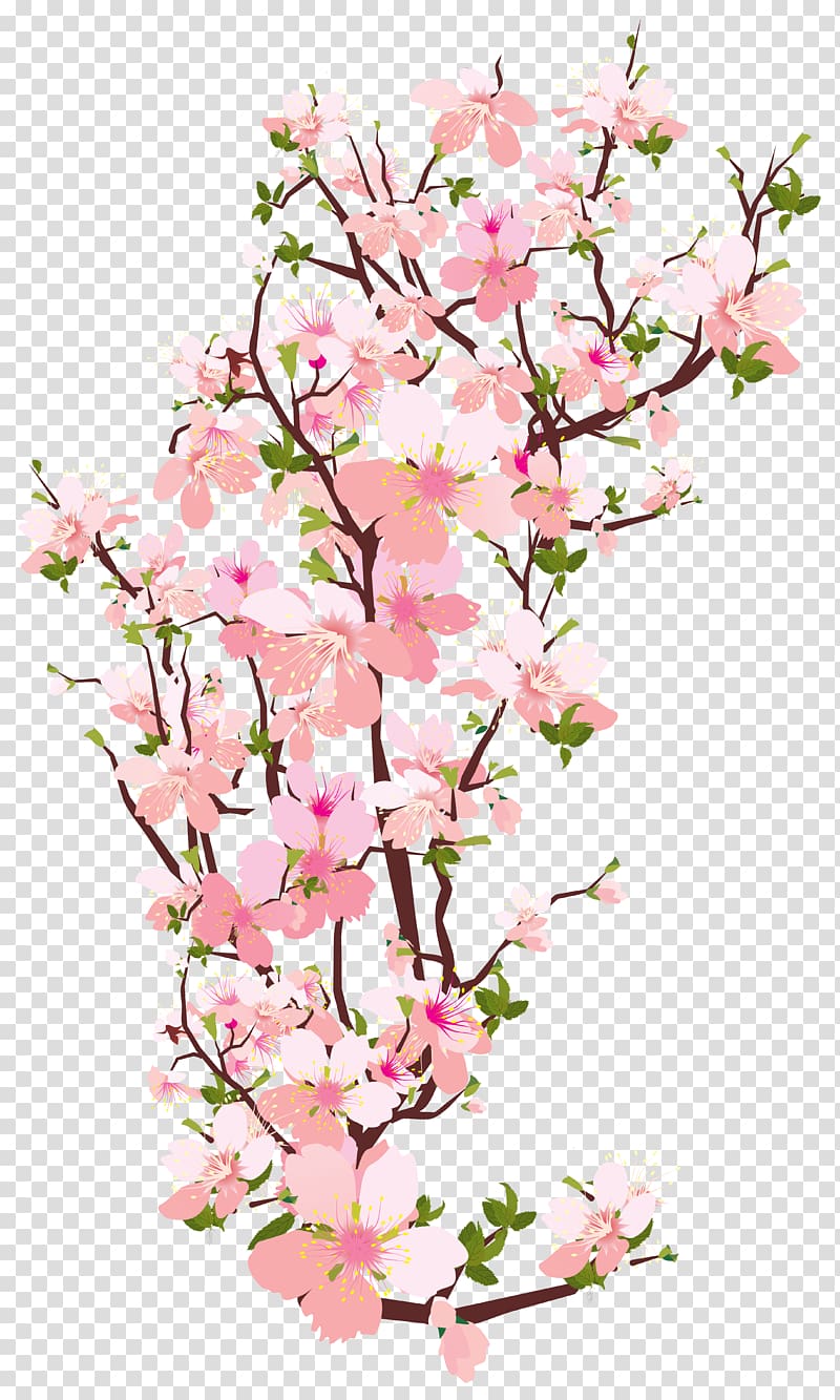 Ветвь дерева, весенняя ветвь дерева, иллюстрация цветков розовой вишни