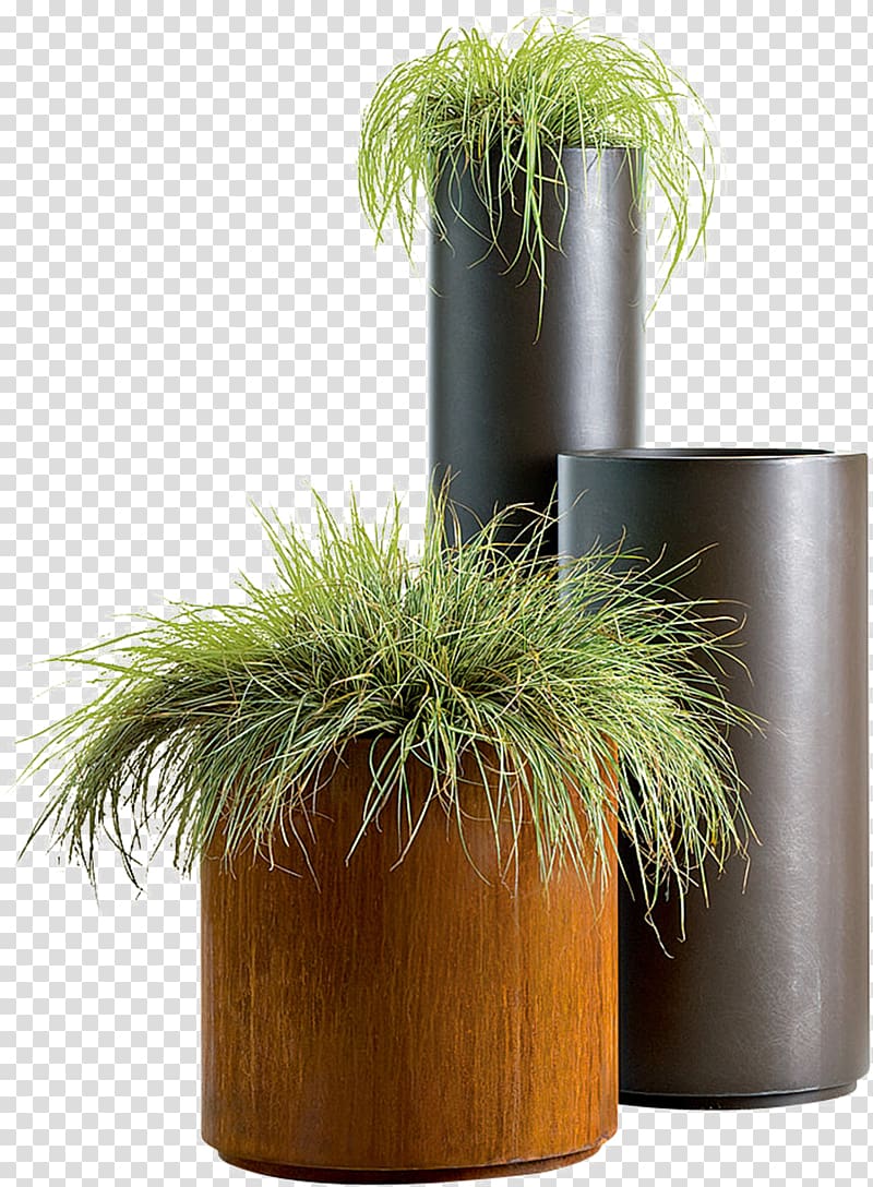 Горшки на прозрачном фоне. Растение в горшке. Растение в горшке для фотошопа. Трава в горшке. Растение в кашпо.